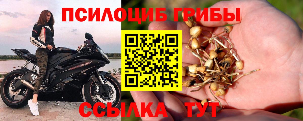 Галлюциногенные грибы Cubensis Люберцы