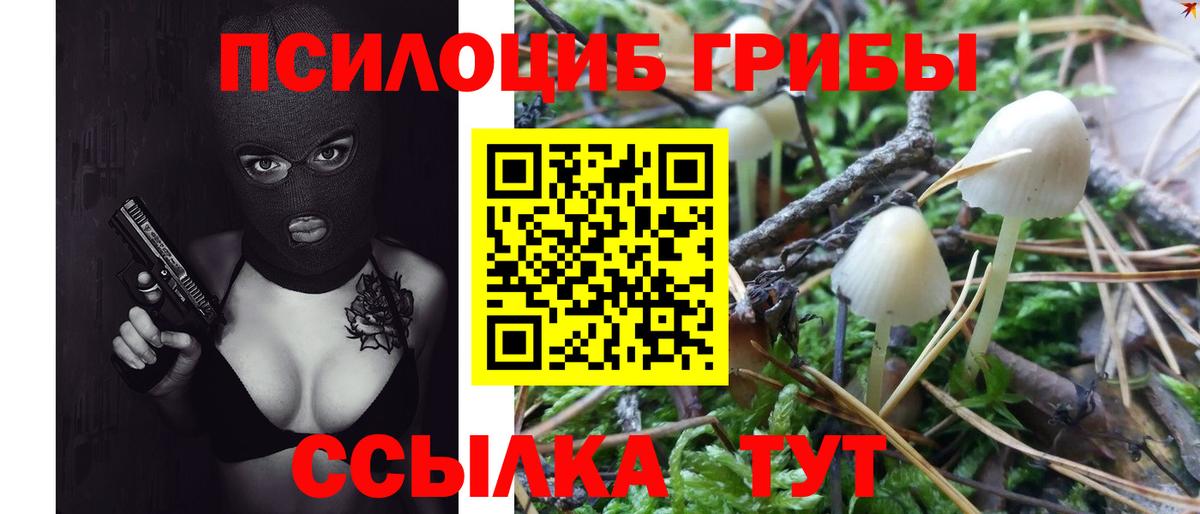 Люберцы  Галлюциногенные грибы Psilocybine cubensis  Вход с VPN 