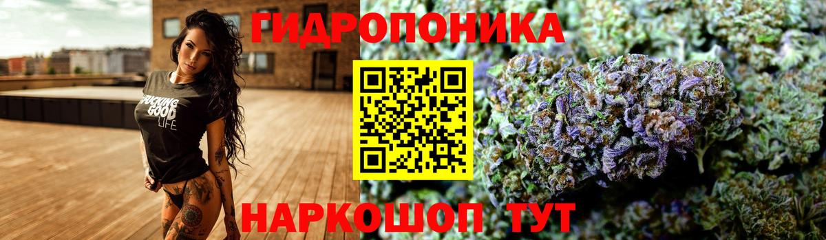 Марихуана планчик  Вход с VPN  Люберцы  Бошки марихуана тримм  Каннабис AK-47 